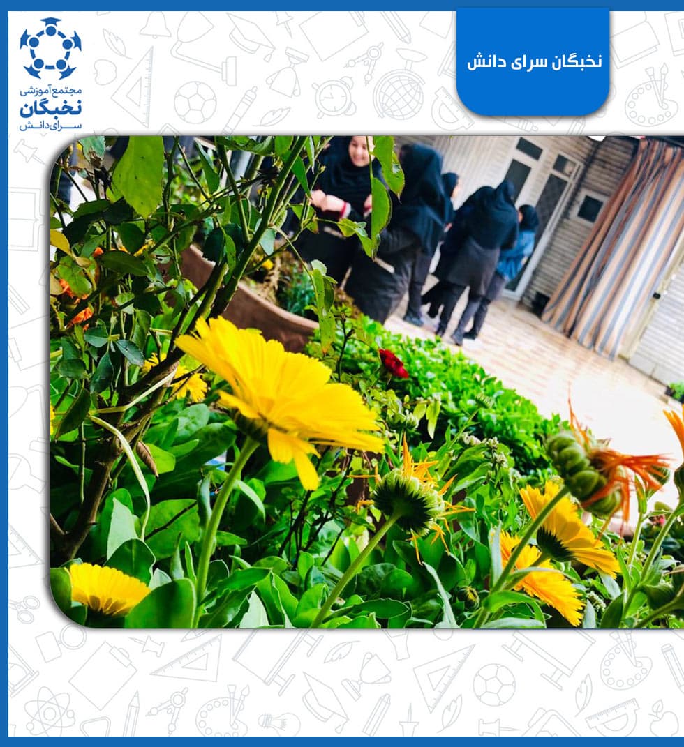 متوسطه دوم دخترانه سرای دانش بهبهان